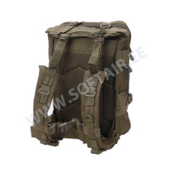 Alternative view of Backpack Assault