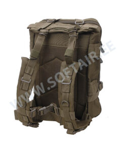 Alternative view of Seljakott Assault