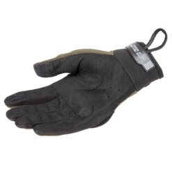 Alternative view of Shield kindad