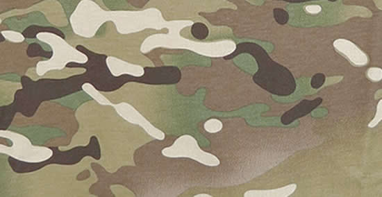 Multicam