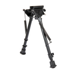 Alternative view of Vedru harkjalg RIS